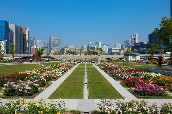 https://www.db.kansai-maas.jp/image/photos/07918883-3d7e-455f-ba6f-688543f5a85d.jpg