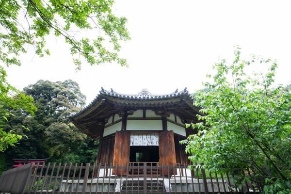 https://www.db.kansai-maas.jp/image/photos/07d1948a-b3d1-480a-90e6-5d29771006ba.jpg