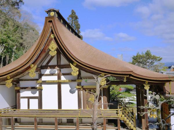 https://www.db.kansai-maas.jp/image/photos/083bc6e9-e6fa-4e5a-85f8-24833ed4f60c.jpg