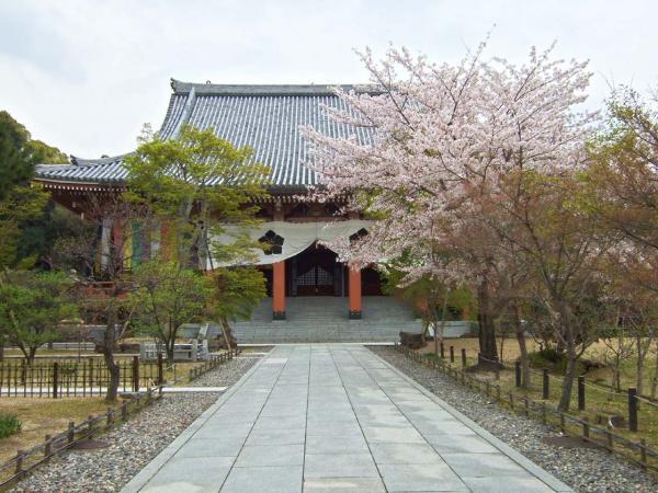 https://www.db.kansai-maas.jp/image/photos/08411377-4381-4fa1-8553-4665e4a07659.jpg