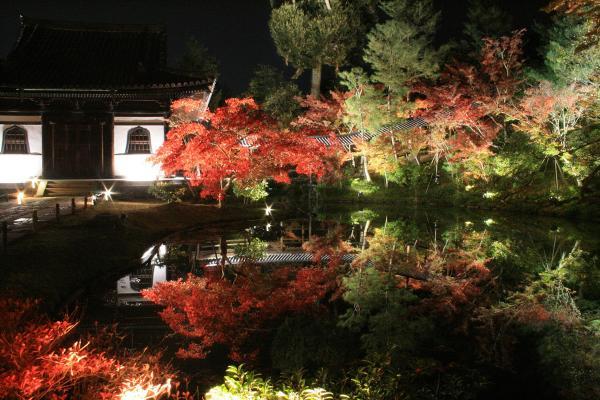 https://www.db.kansai-maas.jp/image/photos/08585eda-6d21-429c-ac46-09a9caf7011e.jpg