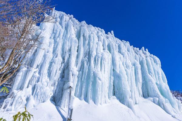https://www.db.kansai-maas.jp/image/photos/08f8cf55-eac1-4ca1-8e7e-e5d238e60219.jpg