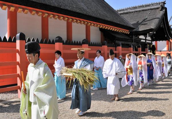 https://www.db.kansai-maas.jp/image/photos/0917a239-77e9-4fe4-be23-8bf50c70c992.jpg