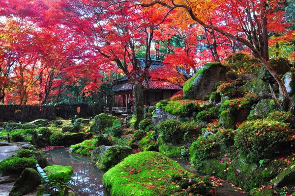 https://www.db.kansai-maas.jp/image/photos/099edcbd-39a3-4c80-94c2-7218e1d5146d.jpg