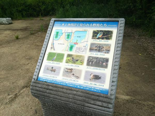 https://www.db.kansai-maas.jp/image/photos/0a1ec425-595e-4879-9dc8-be5a7bc114bc.jpg