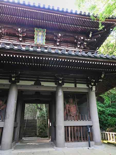 https://www.db.kansai-maas.jp/image/photos/0ad6f7b4-44f0-47f2-b1fc-9f8b54c738e9.jpg