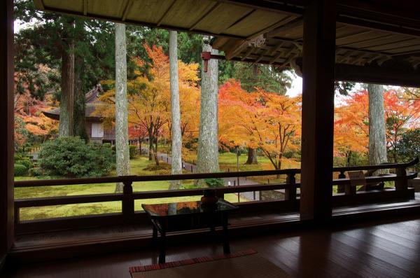 https://www.db.kansai-maas.jp/image/photos/0b2a1c92-a3aa-4b33-b98c-6e6a4ed4c5b2.jpg