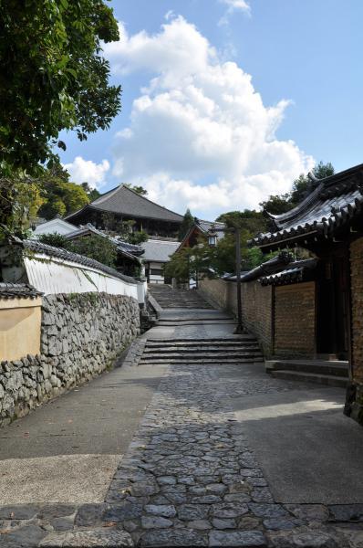 https://www.db.kansai-maas.jp/image/photos/0b5b96f5-f6ea-4005-b7c6-2d16fb418f30.jpg