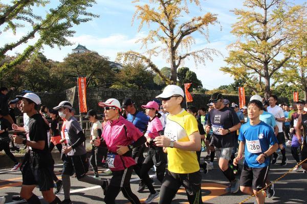 https://www.db.kansai-maas.jp/image/photos/0b6cb674-575b-467c-8f96-3de0f3167b95.jpg