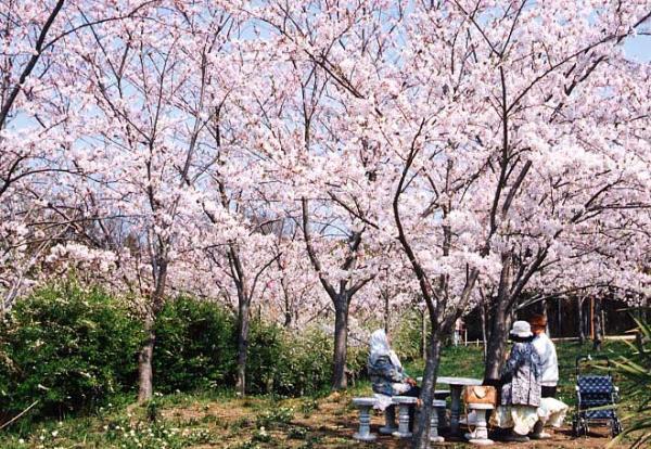https://www.db.kansai-maas.jp/image/photos/0babea01-cb77-410c-a8f6-d3cbfbd12bd4.jpg