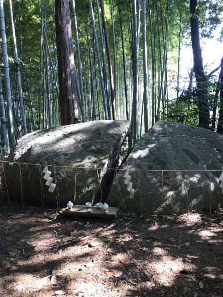 https://www.db.kansai-maas.jp/image/photos/0c6dc0d7-2130-4572-bcf5-f9627c98f3df.jpg