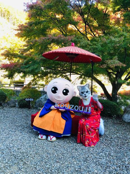 https://www.db.kansai-maas.jp/image/photos/0cd56a25-83e9-4fbc-8fa2-f7f1d9d04b6c.jpg