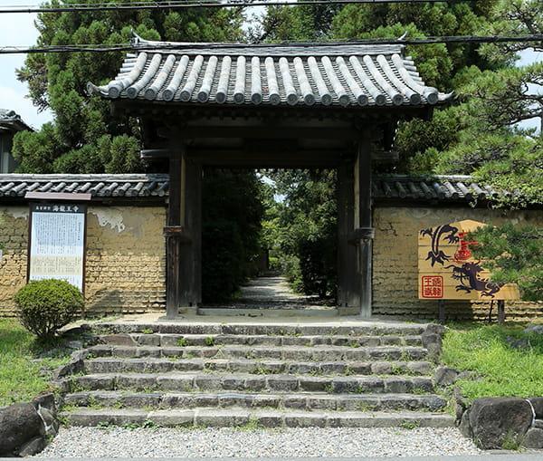 https://www.db.kansai-maas.jp/image/photos/0cd94d5c-8e78-4f3e-a2f8-6c259e2d9f02.jpg