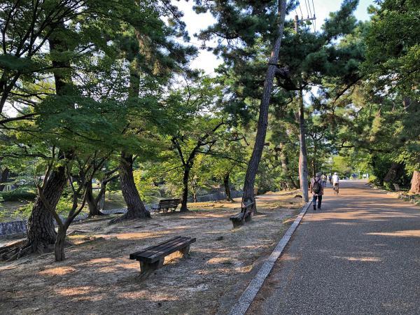 https://www.db.kansai-maas.jp/image/photos/0d980032-dca4-4edc-9c26-d441bd2a5f7b.jpg