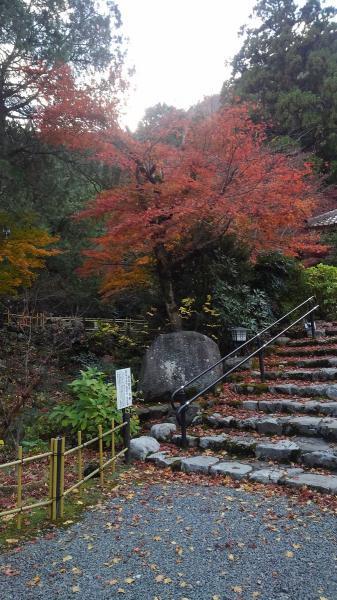 https://www.db.kansai-maas.jp/image/photos/0e4a1464-bc97-450d-bebc-1278ac88ade8.jpg