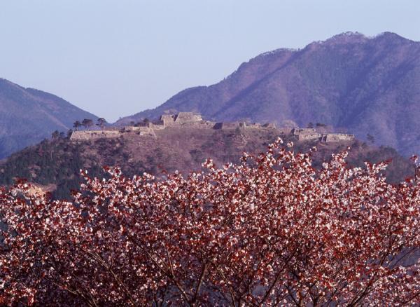 https://www.db.kansai-maas.jp/image/photos/0efca722-86e7-4023-9439-f200a0d41ce5.jpg