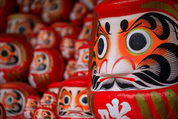 https://www.db.kansai-maas.jp/image/photos/0f7a863c-4efb-4a6e-8618-2b494a46bc11.jpg