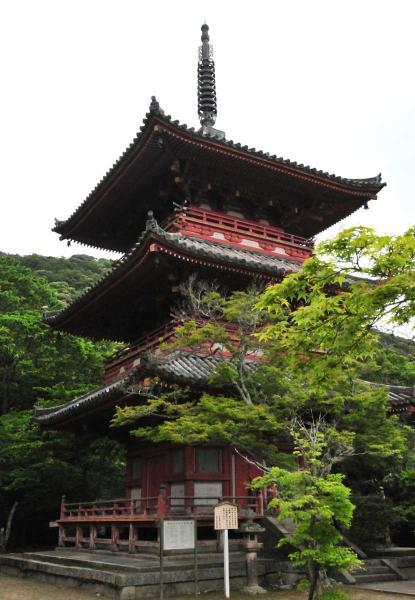 https://www.db.kansai-maas.jp/image/photos/111a0c84-b4fd-4420-bb1a-f24735fd39f7.jpg