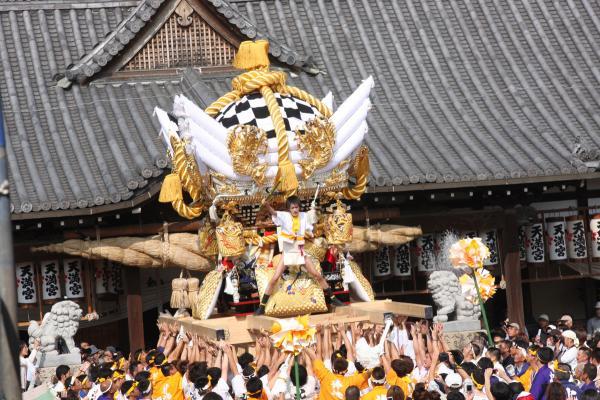 https://www.db.kansai-maas.jp/image/photos/115a96e5-a786-48e4-b2ee-c0ff27693ccf.jpg