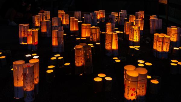 https://www.db.kansai-maas.jp/image/photos/115eff1e-88b5-49b7-911a-aff04f726370.jpg