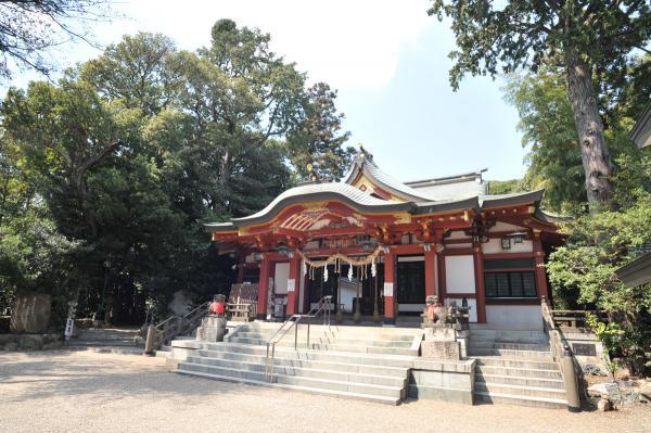 https://www.db.kansai-maas.jp/image/photos/116baffa-40ed-4c5f-98e3-3966b8d74fcc.jpg