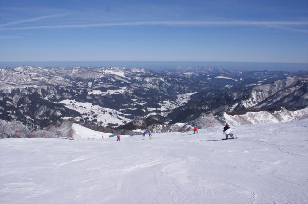 https://www.db.kansai-maas.jp/image/photos/123bd2f5-121f-4db6-92f8-cd876ea02950.jpg