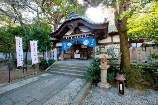https://www.db.kansai-maas.jp/image/photos/1250a117-625b-437d-9262-e3136af57c82.jpg