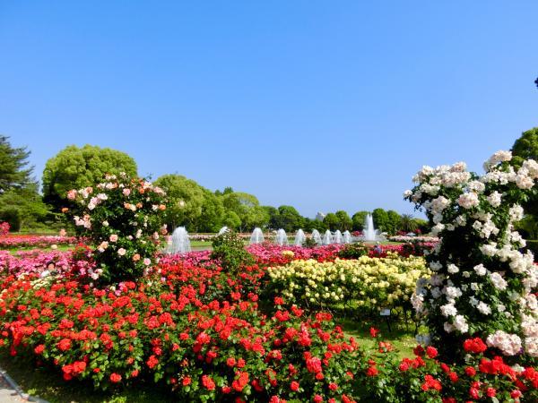https://www.db.kansai-maas.jp/image/photos/12c47fb6-b5e5-46ea-ba4a-05b2e6457d3c.jpg