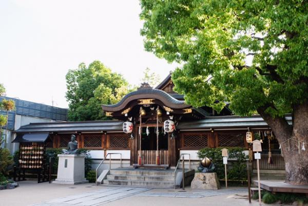 https://www.db.kansai-maas.jp/image/photos/12cd5b5b-08d3-4b11-9a87-2421a0bee1d2.jpg
