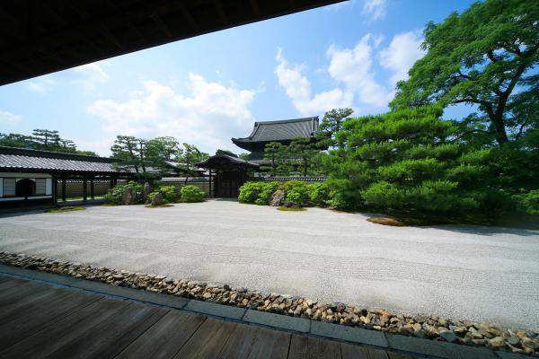 https://www.db.kansai-maas.jp/image/photos/13156af2-d35b-4cbb-9924-5feb86bb193a.jpg