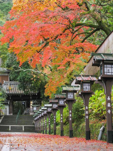 https://www.db.kansai-maas.jp/image/photos/145faa99-52af-4f73-81f4-3fb234cb4ff0.jpg