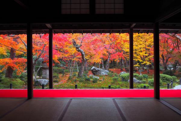 https://www.db.kansai-maas.jp/image/photos/148ab5ea-c60a-4659-b053-ed62969faac0.jpg
