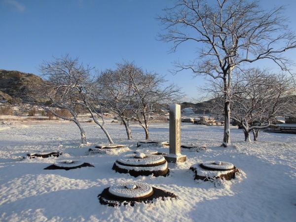 https://www.db.kansai-maas.jp/image/photos/14eddaca-f87e-43c2-af25-3606b6db09e7.jpg