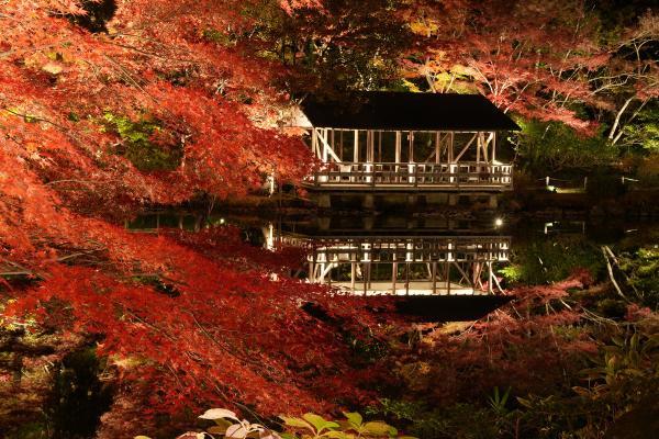 https://www.db.kansai-maas.jp/image/photos/166ba57d-a492-40e5-a150-4dbf0ca5ee8f.jpg
