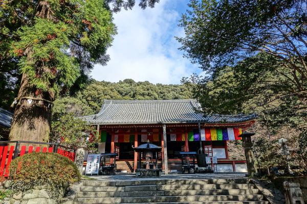 https://www.db.kansai-maas.jp/image/photos/179d1412-5bf4-4f9f-9df2-453a073299e0.jpg
