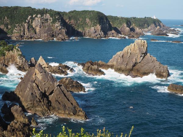 https://www.db.kansai-maas.jp/image/photos/180859b4-7b0e-45cc-b4b0-dd1889af03d2.jpg
