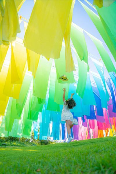 https://www.db.kansai-maas.jp/image/photos/182cb95c-85d1-4d1e-bed6-5fb74a368d8f.jpg