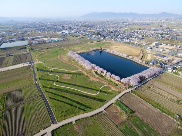 https://www.db.kansai-maas.jp/image/photos/191847ac-6aab-477b-9742-4b5e89aa7dc2.jpg