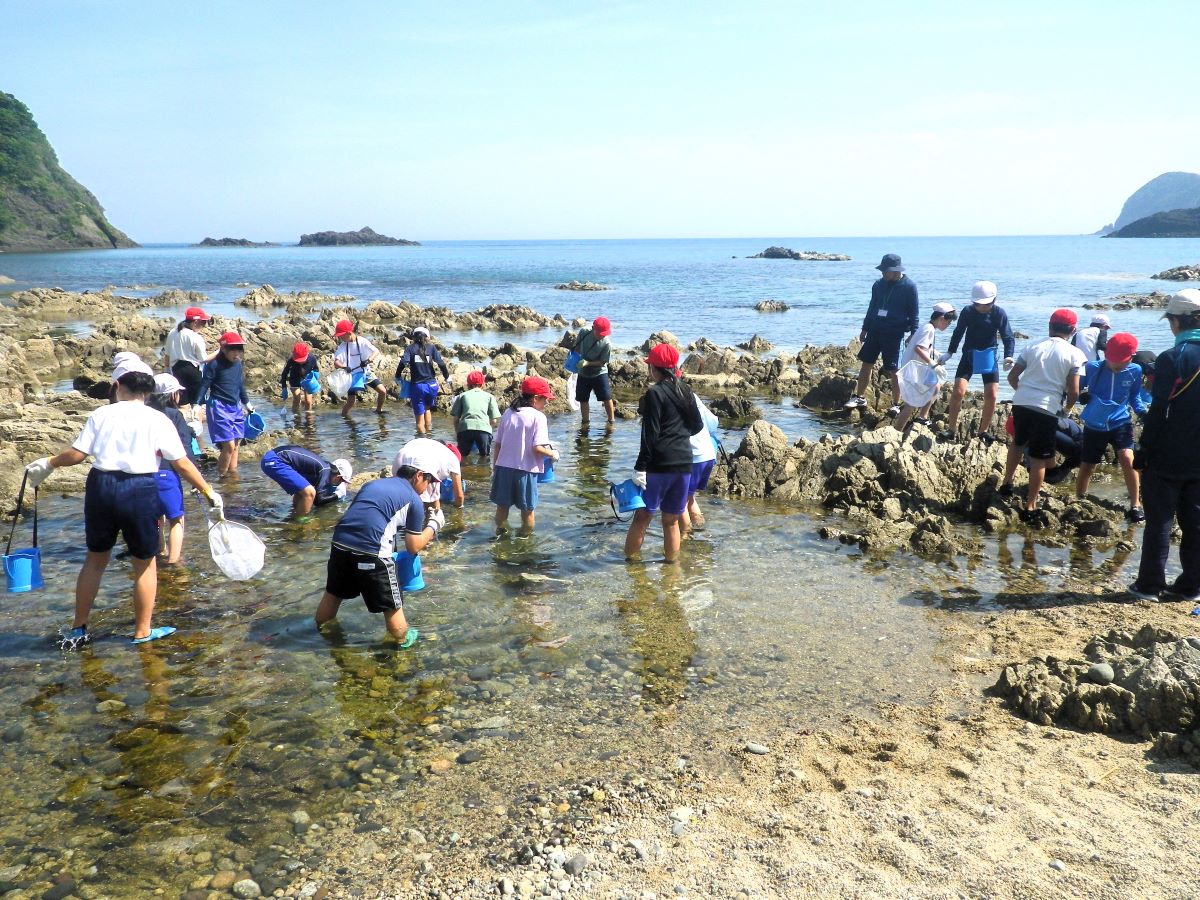 https://www.db.kansai-maas.jp/image/photos/19228640-a512-4e0f-800e-0bc8540bbfa7.jpg