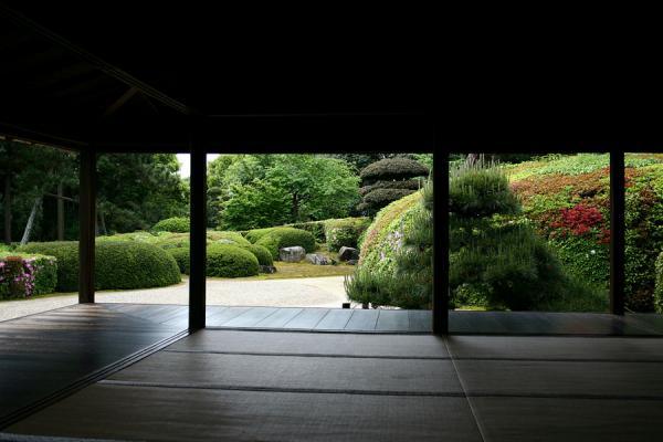 https://www.db.kansai-maas.jp/image/photos/197c490d-c222-47c2-8775-39a91e54dc46.jpg