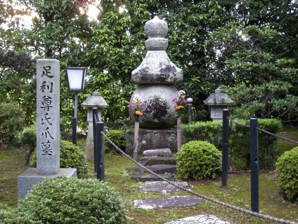 https://www.db.kansai-maas.jp/image/photos/1980cbcb-6699-4d91-be9c-1f284edd7809.jpg