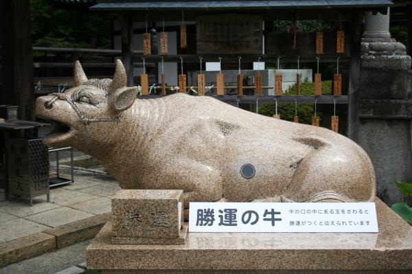 https://www.db.kansai-maas.jp/image/photos/19a39743-1529-407f-ad96-ebd5938824f9.jpg