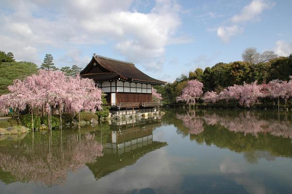 https://www.db.kansai-maas.jp/image/photos/19ec4da8-7d44-4dd9-843d-288b6bb47c5e.jpg