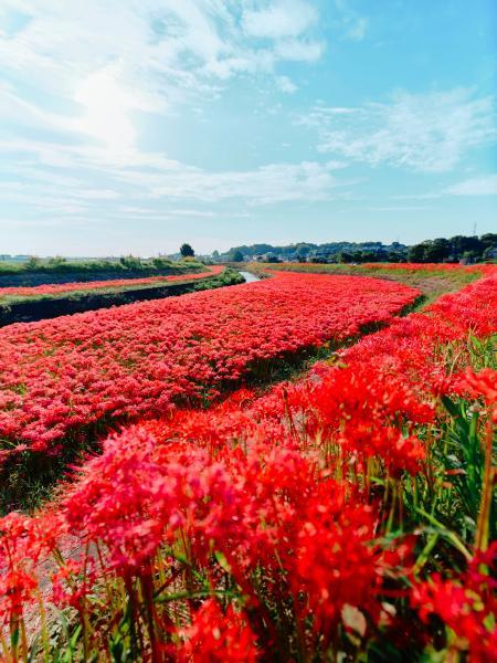 https://www.db.kansai-maas.jp/image/photos/1a7d54eb-7e28-497d-81b6-aaa7fe476fc0.jpg