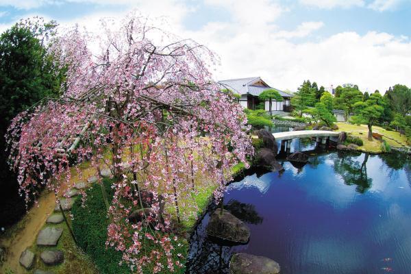 https://www.db.kansai-maas.jp/image/photos/1ac1b3c6-2b64-4637-a2b7-1a4117a5743c.jpg