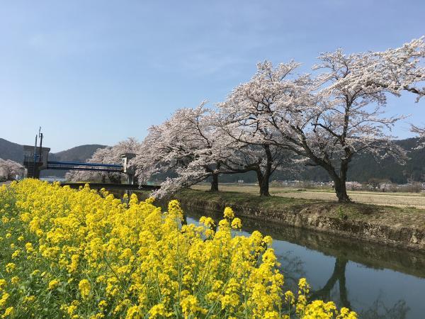 https://www.db.kansai-maas.jp/image/photos/1b3b3dc7-ebe6-4941-ab61-e12d9aac63db.jpg