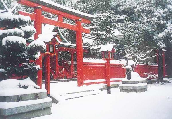 https://www.db.kansai-maas.jp/image/photos/1ba950f7-fe89-4e52-9cbb-9bea6a3a557a.jpg