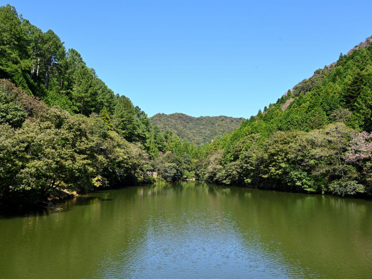https://www.db.kansai-maas.jp/image/photos/1bf4ff32-df77-4eed-a2fd-5a4fde3e91b9.JPG
