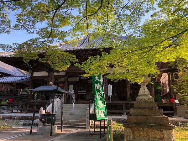 https://www.db.kansai-maas.jp/image/photos/1d1a54b9-a3f4-4790-94ee-3823d391d2ac.jpg