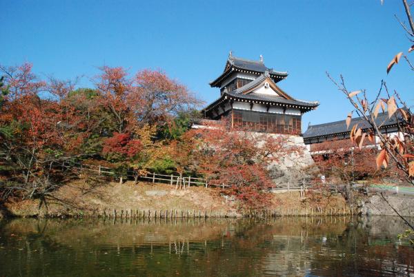 https://www.db.kansai-maas.jp/image/photos/1e458e58-9857-40bf-bb83-5fb19fc02a29.jpg